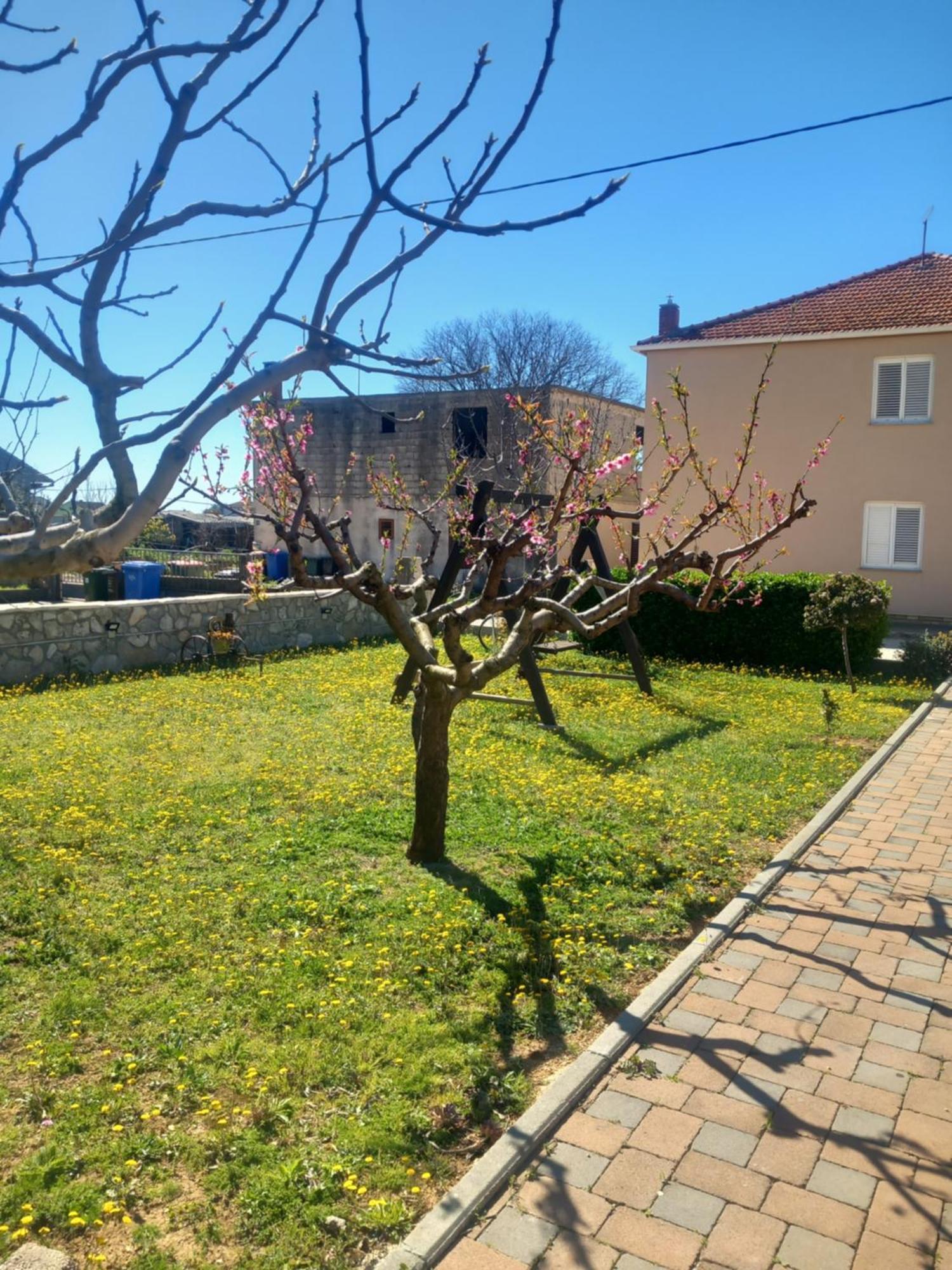 Apartmani Goga Weißenburg Exterior foto